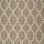 Stanton Carpet: Degraw Platinum